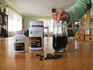 3 300x225 - How to make an Activated Charcoal Facial Mask for Skin Care (DIY)