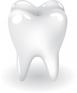 tooth 248x300 - Using Activated Charcoal to Brush Teeth with Crowns and Fillings