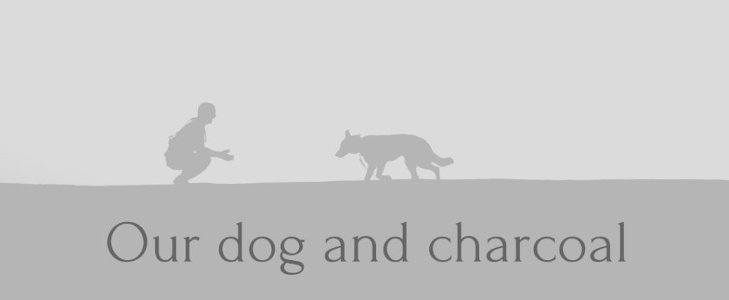 Our dog and charcoal 1024x421 - Our Dog and Charcoal - Malignant Melanoma
