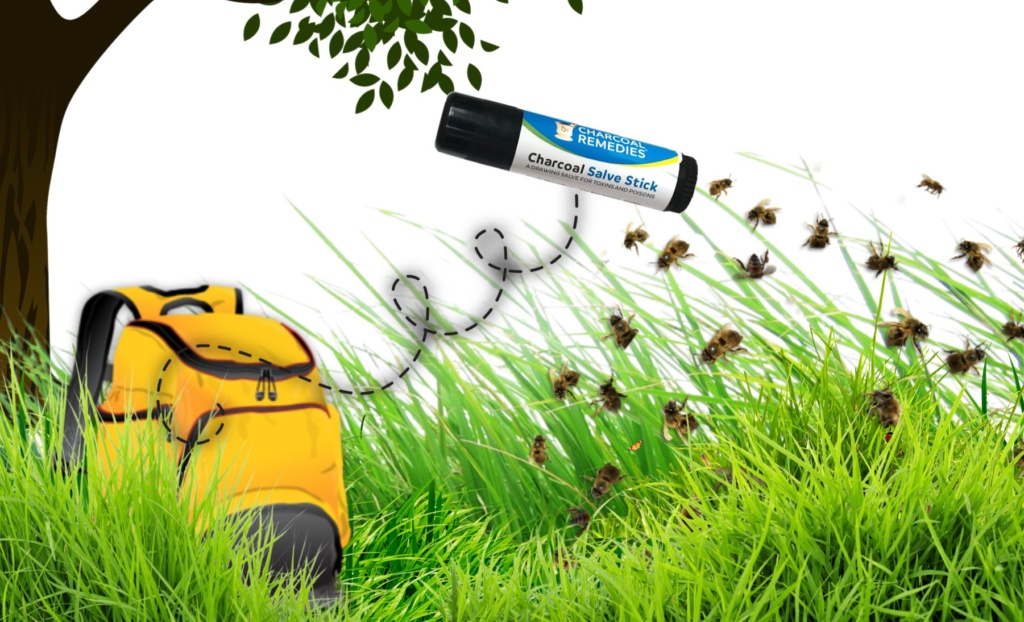 salve stick graphic  1024x622 - Have peace of mind with our Charcoal Salve Stick