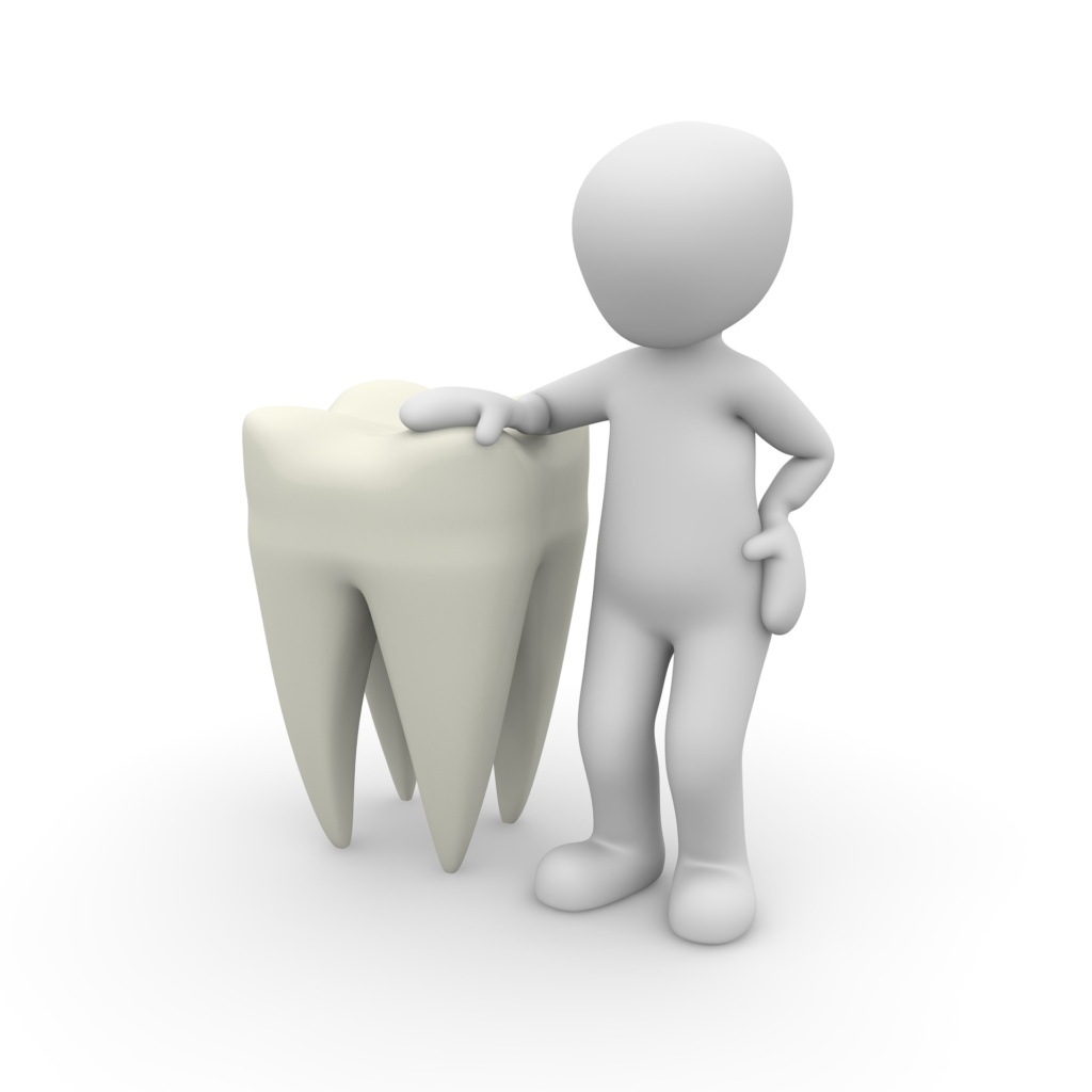 tooth 1024x1024 - Teeth Extraction and Using Activated Charcoal
