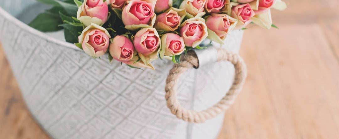 basket roses - Kind words from a Customer, Activated charcoal helped MCS and EHS