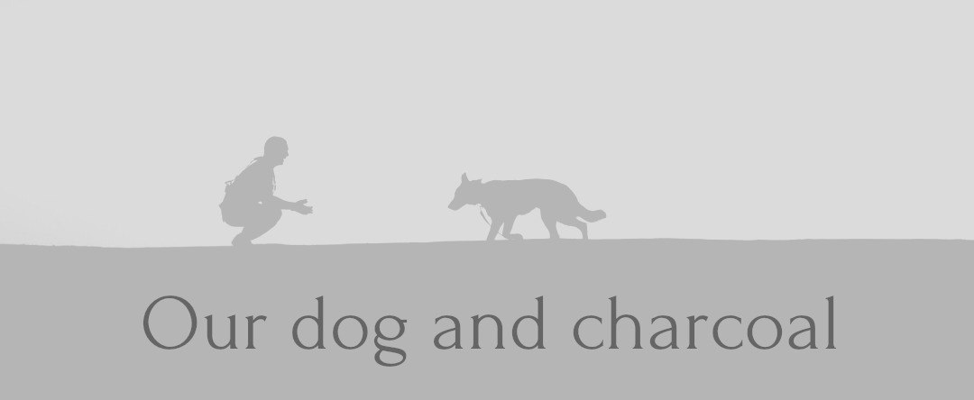 Our dog and charcoal - Our Dog and Charcoal - Malignant Melanoma