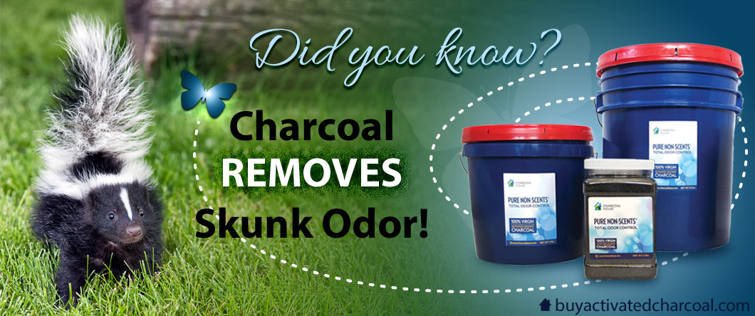 skunk header - Did you know charcoal removes skunk odor?