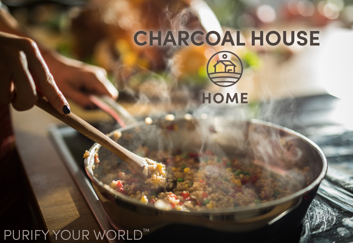 Charcoal House Home - Activated Charcoal for the Home
