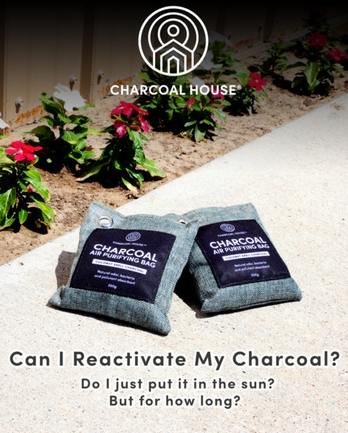 can-i-reactivate-my-charcoal-do-i-just-put-it-in-the-sun-but-for-how