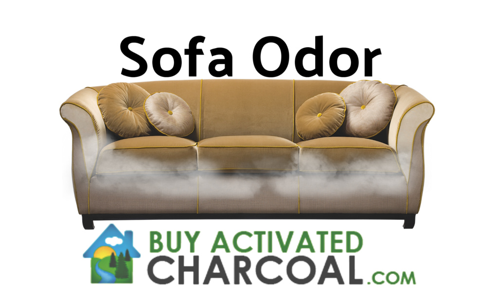 sofa 2 1024x615 - Q & A: On Removing Odors from Sofa