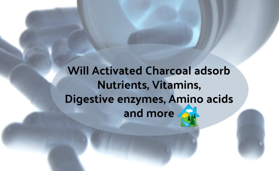Taking Charcoal does it adsorb Nutrients Vitamins etc header 1060x650 - Does charcoal adsorb nutrients, etc....