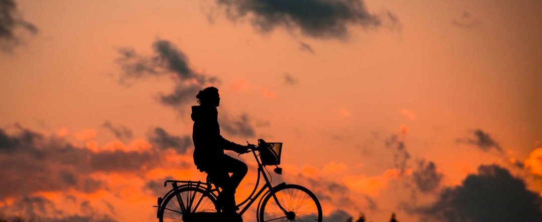 sunset on bike - Toxins: Does Charcoal remove toxins at cellular level?