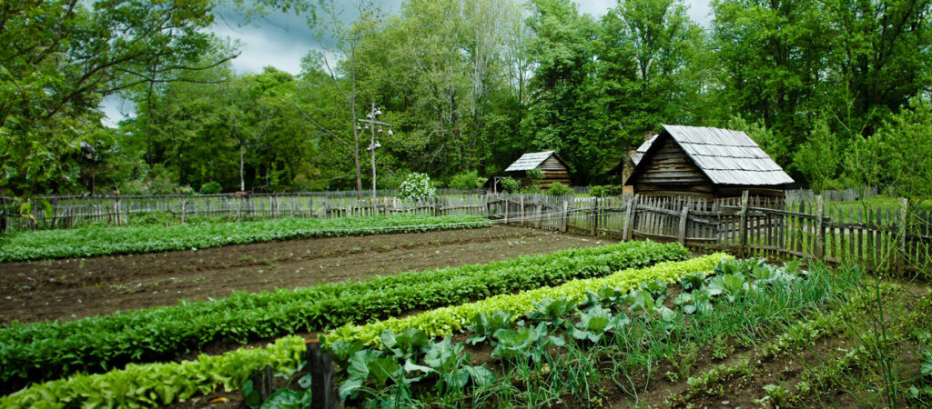 green garden soil 1024x450 - Charcoal Green® for Gardens, Flowers, Crops, Soil