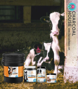 VetDtox Cows Scours 1 261x300 - Using Activated Charcoal For Scours