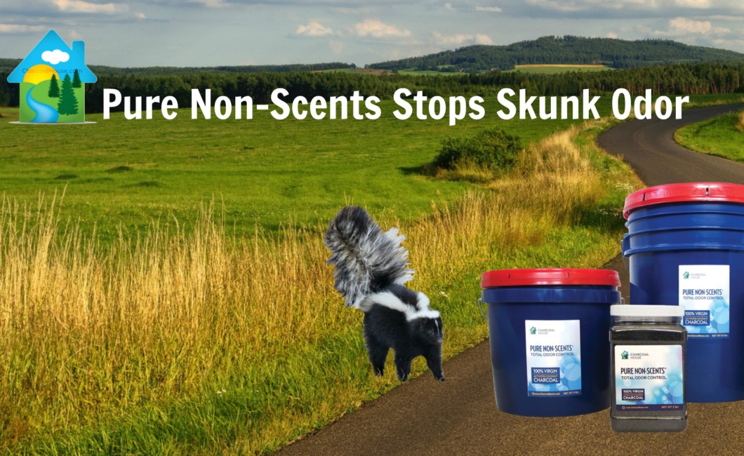 3 skunk Pure Non Scents Stops Skunk Odor 1060x650 - Pure Non-Scents Stops Skunk Odor