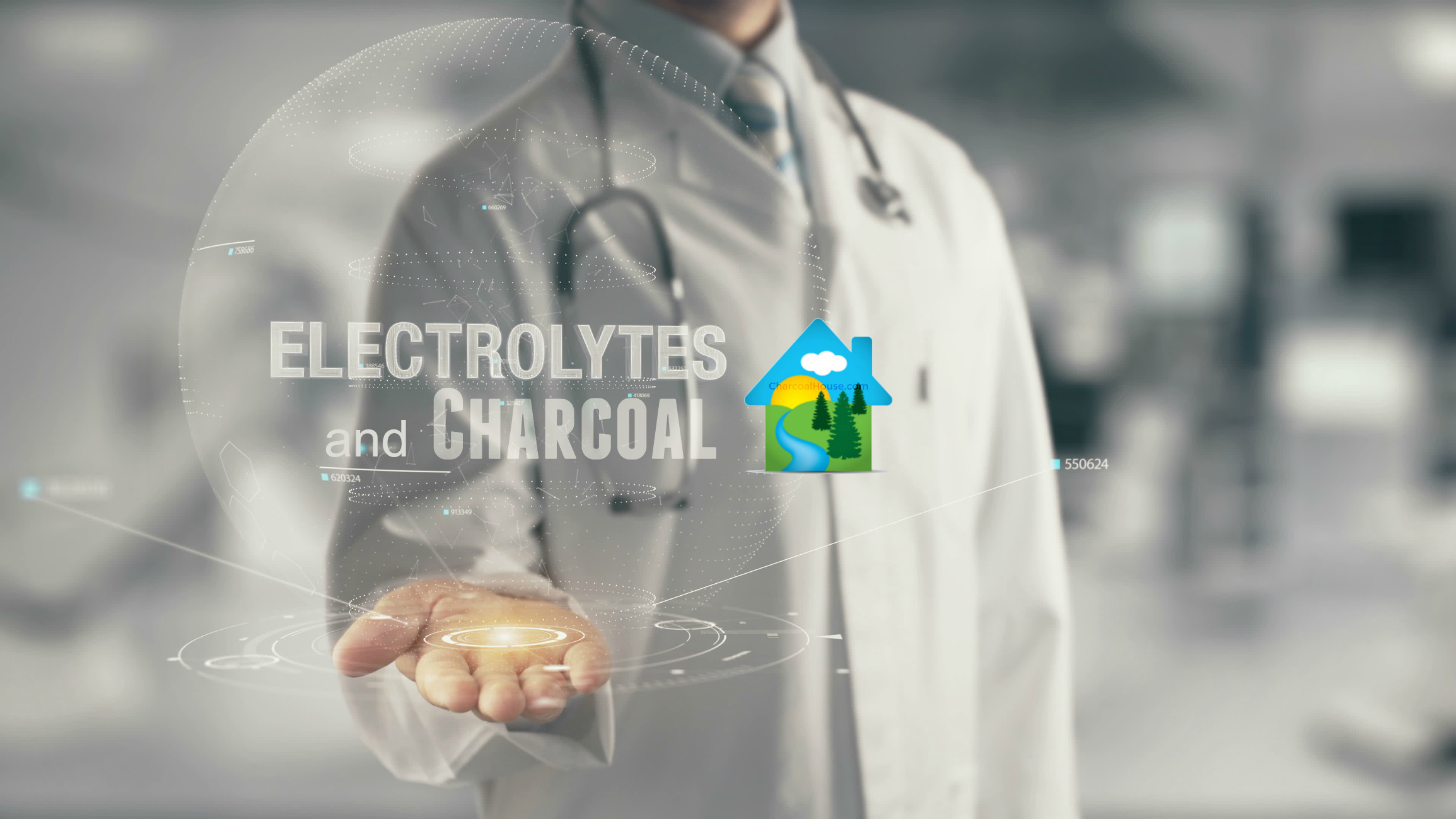 header Does Charcoal Adsorb Electrolytes - Does Charcoal Adsorb Electrolytes?