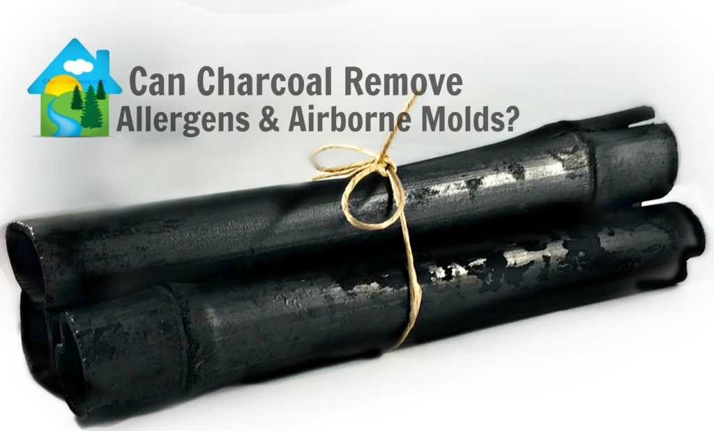 header Allergens and Airborne Molds 1024x619 - Remove Allergens and Airborne Molds