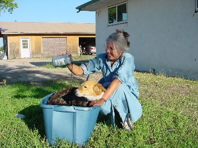 Annie.charcoal.bath .1 - Get Skunked?