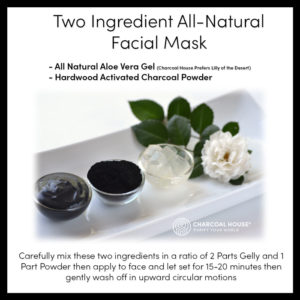 Facial mask 2ingredient700px2 300x300 - Two Ingredient Facial Mask with Activated Charcoal