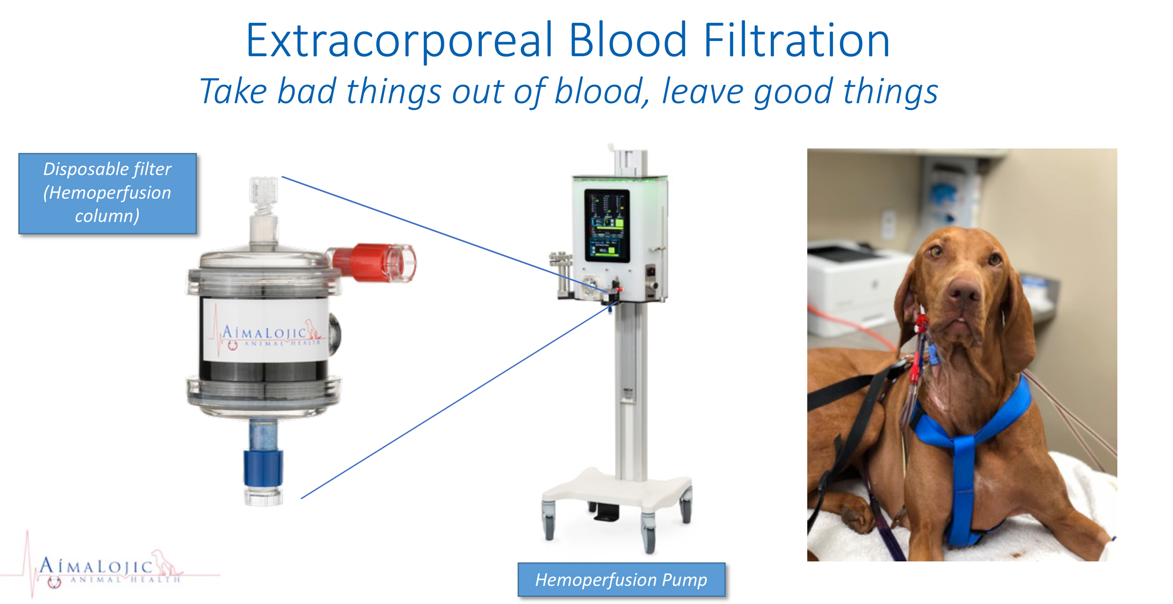 Blood Transfusion Pump Blog Image 1 - Could Activated Charcoal Aid in the Treatment of COVID-19?