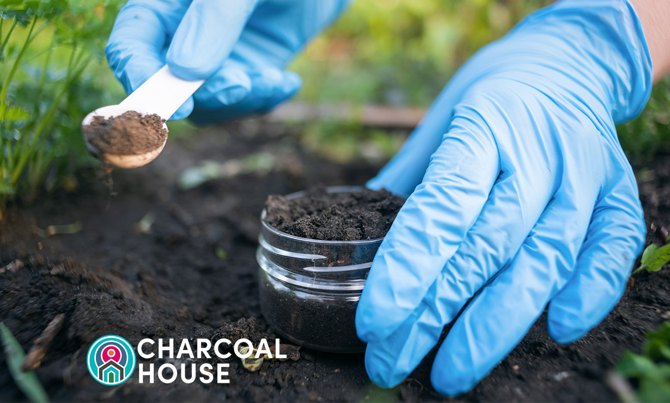 Charcoal House Charcoal Soil D•Tox™