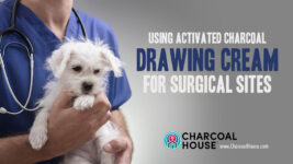 FB Testimonial Surgical 267x150 - Can Activated Charcoal Be Used To Help Close Suture Wounds?
