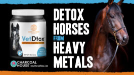 FB Horse1 267x150 - Detoxing Horses from Heavy Metals