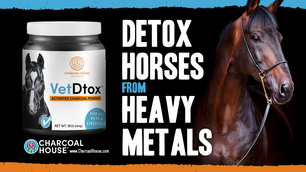 FB Horse1 - Taking Detox & Cleanse USP Activated Charcoal Powder Daily